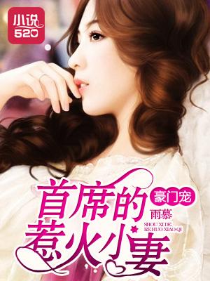 首席宠婚豪门第一夫人