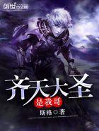 齐天大圣是我哥哥