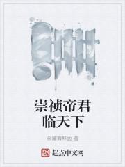 崇祯征战天下