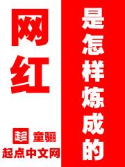 网红是怎样赚钱的