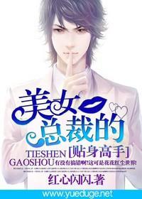 美女总裁的贴身高手风中的阳光