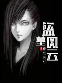 盗墓风云完整版