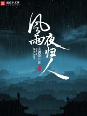 风雨夜归人郝晓庚阅读理解