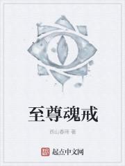 至尊魂印