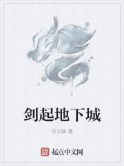 地下城剑帝怎么玩