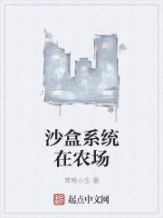 沙盒关卡攻略