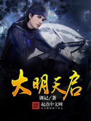 大明天启青花瓷器鉴赏