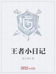 王者日记h文