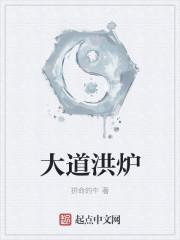 大道洪炉经是萧鼎哪本里的功法