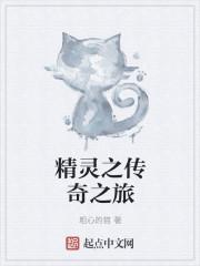 精灵之传奇训练家免费阅读