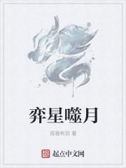 弈星技能讲解