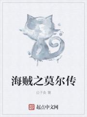 海贼之莫莫果实盗版