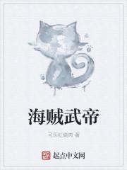 海贼王之武道