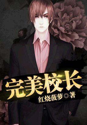 完美校长的