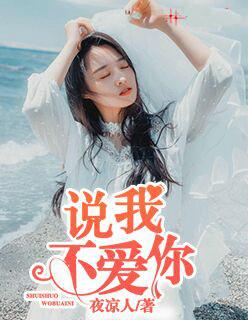 说我不爱你歌曲