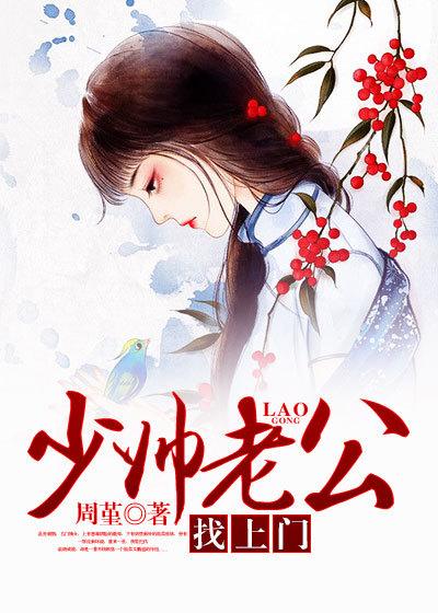 少帅老公找上门短剧免费观看