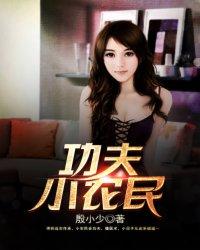 功夫高手马路对决