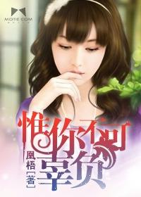 惟你不可辜负免费