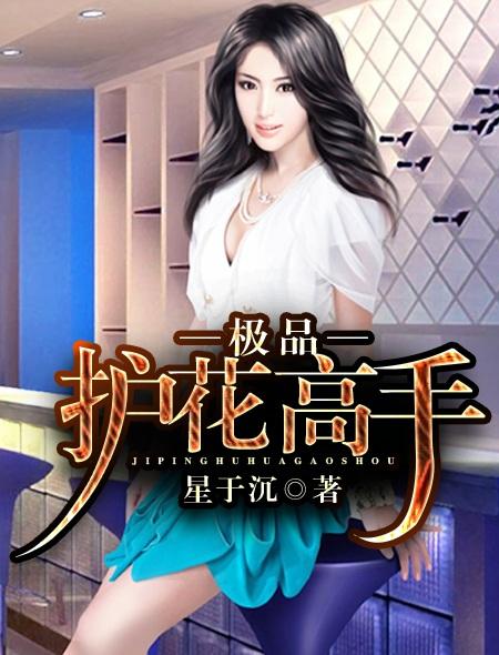 极品护花高手全文阅读