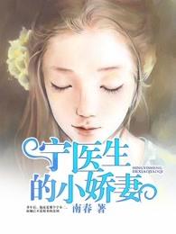 宁医生的小娇妻免费阅读南春