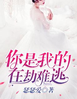 你是我的在劫难逃免费视频