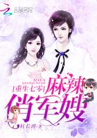 重生七零麻辣俏军妻