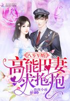 高能田妻