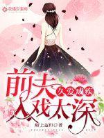 总裁追妻路漫漫