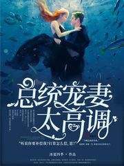 总统宠妻太高调短剧