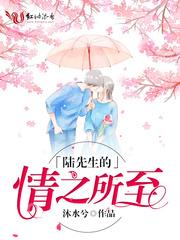 陆先生的情之所至免费全文陆宴北