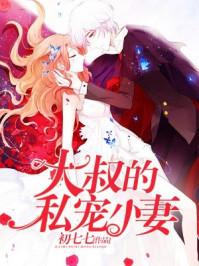 大叔的私宠小妻讲了什么内容