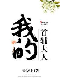 我的首辅大人txt