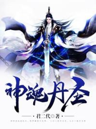 神魂丹圣免费阅读无弹窗