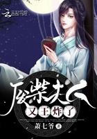废柴夫人又王炸了一共多少章