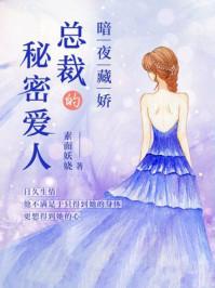 总裁的暗夜索情