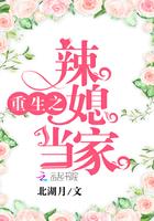 重生之辣媳当家全文阅读