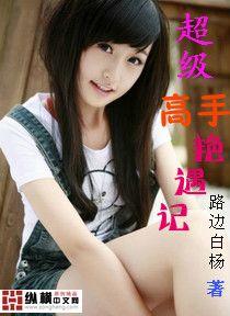 超级高手艳遇记秦风有多少老婆