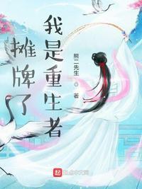 摊牌了我是重生者 清朝 文人的心态