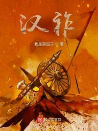 孤忠一片继汉祚