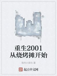 重生在2001年的