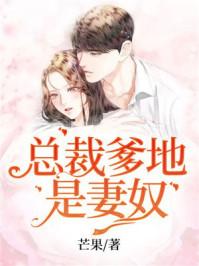 帝少总裁是爹地完整版