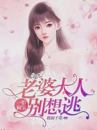 沈蔓歌叶南弦 免费阅读