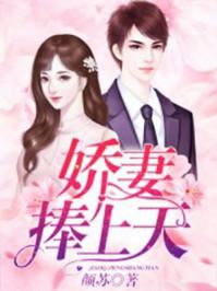 苏锦棠傅北尧书名