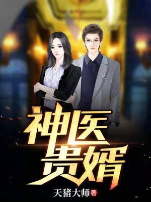 神医贵婿全集观看