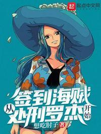 签到从海贼王开始