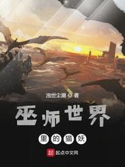巫师世界男主