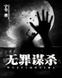 无罪谋杀丁潜结局解析