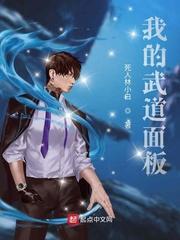 我的武道面板123