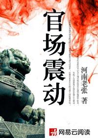 官场震荡
