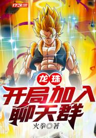 龙珠开局加入次元聊天群txt